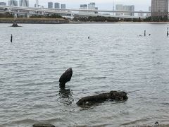 -台场海滨公园船码头