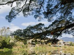 -云水谣景区