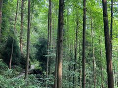 -青城山