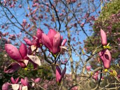-白塘生态植物园