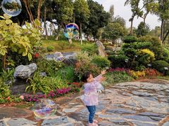 -东莞植物园