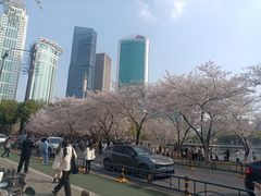 -西北湖绿化广场