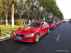 -蚂蚁婚车