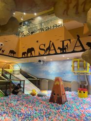 -卡通尼·Safari非洲探索乐园·生日会(金桥国际商业广场店)