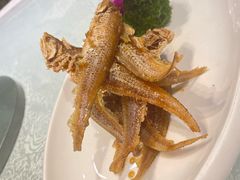 -金米箩大酒店(五角场店)