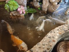 -多哥水傣味餐厅(司马巷店)