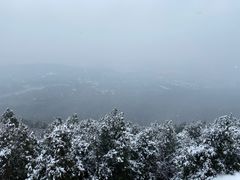 -云龙山