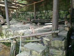 -罗田天堂寨风景区