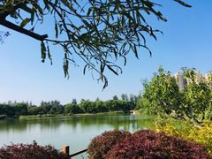 景点-燕郊植物园