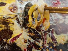 -渝杨胖娃老火锅(中兴路店)