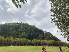 -顺峰山公园