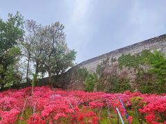 -老门东历史文化街区