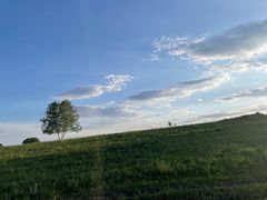 -塞罕坝国家级自然保护区