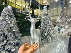 -SM城市广场(扬州店)