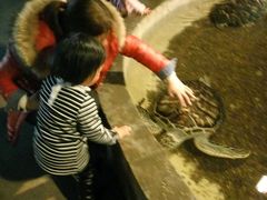 -洛阳龙门海洋馆