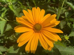 -玉渡山风景区-售票处