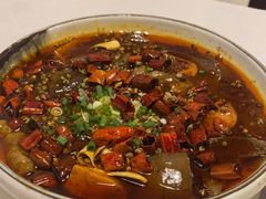 精品毛血旺-渝信川菜(南滨店)