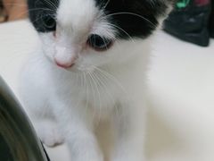 -谐和贝康宠物医院24小时·宠保定点(急重症转诊中心)