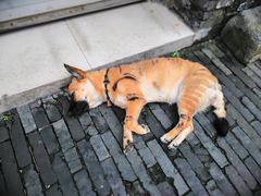 -东关街美食广场