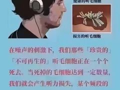 -自然之声助听器(平凉店)