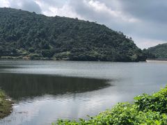 -大姆山草场