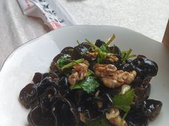 -洞庭家宴·头牌甲鱼(广渠门店)