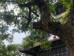 -东莞市可园博物馆