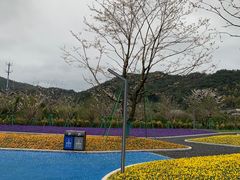-溪口-滕头旅游景区