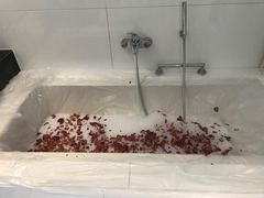 -北京希尔顿逸林酒店