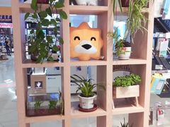-苏宁易购(Suning Elec无锡五洲国际装饰城)