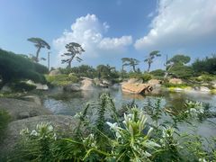 -罗红摄影艺术馆