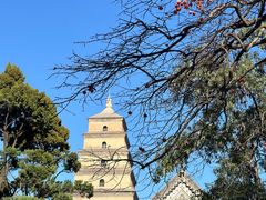 -大慈恩寺(大雁塔)