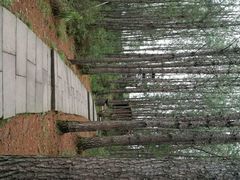 android_upload_pic-剑门关风景区