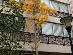 -云涛森林温泉