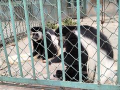 -秦皇岛野生动物园