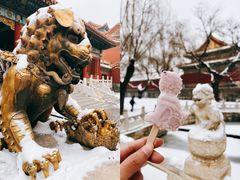 -故宫博物院(故宫)