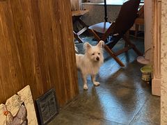 -绿房子方寸咖啡(星海名城店)