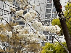 -阿波罗温泉会所(拓东路店)