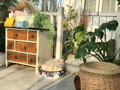 -小时光咖啡馆(北锣鼓巷店)