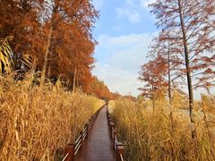 -苏州吴中太湖旅游区