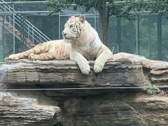 -秦皇岛野生动物园