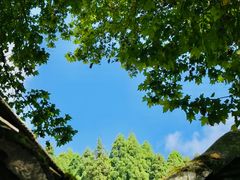 -贵州省植物园