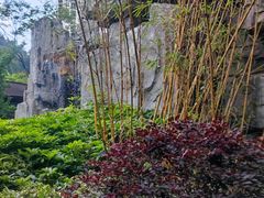 -万象温泉景区