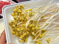 -川西坝子火锅(金沙1.0直营店)