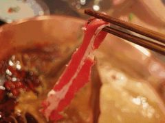 -海底捞火锅(漫乐城夜宵主题店)