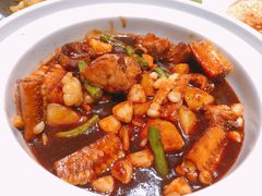 -三强鸽子(中原路店)
