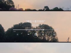 -秀丽东方