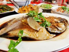 -大树下海鲜饭店
