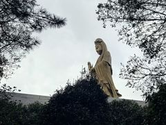 -普陀山风景名胜区-法雨禅寺