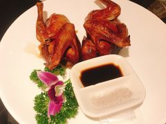 水润乳鸽-稻香饭店(IFS国金中心店)